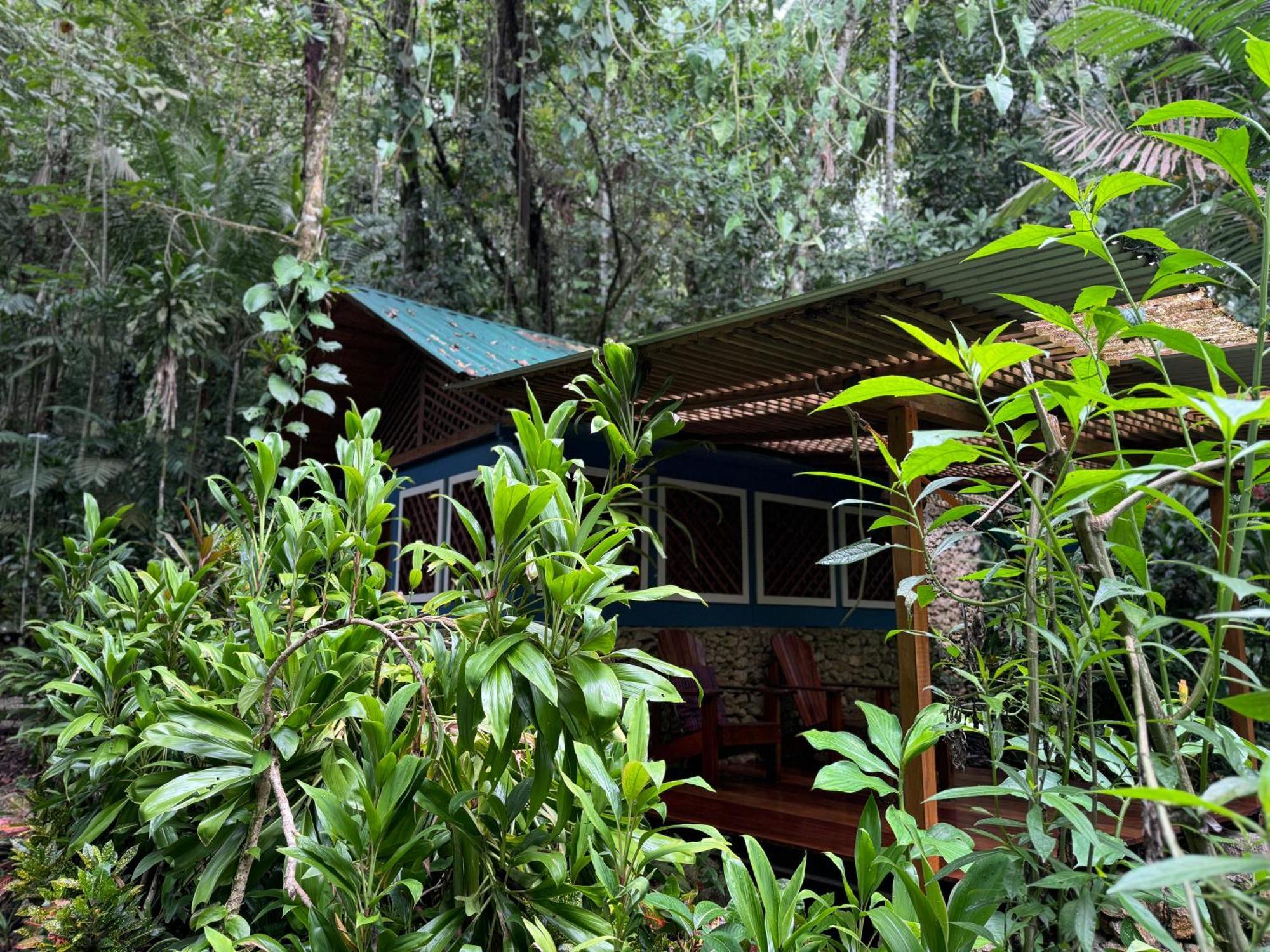 Finca Tatin Hotel Izabal 외부 사진